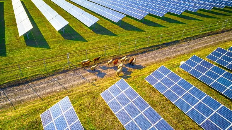 web_paneles_solares_naturaleza_2_dd1ebe5f5d_11zon